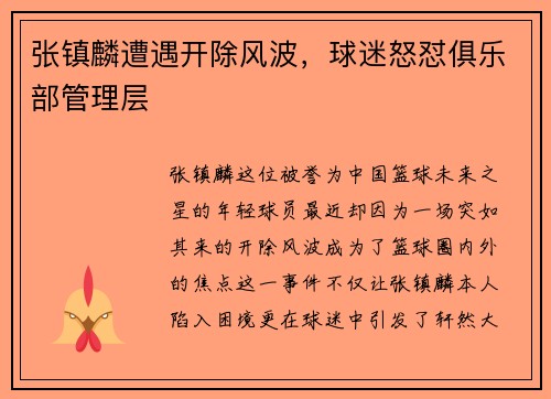 张镇麟遭遇开除风波，球迷怒怼俱乐部管理层