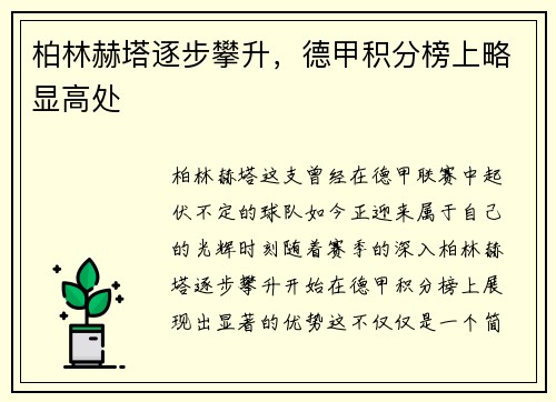 柏林赫塔逐步攀升，德甲积分榜上略显高处